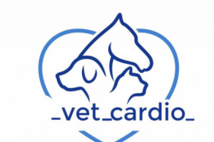 Разработка логотипа для ветеринарной клиники