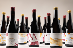 Дизайн упаковки для вина