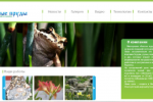 Продвижение ландшафтной студи chistyeprudy.com.ua