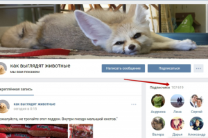 Ведение группы в контакте "Животные"