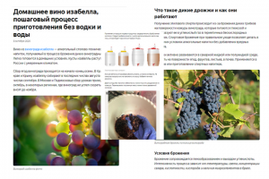 Домашнее вино изабелла, пошаговый процесс приготовления