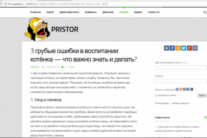 Три грубые ошибки в воспитании котёнка