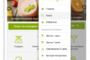 Мобильное приложение "Рецепты здоровых смузи"