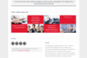 Сайт для фирмы "Разработка информационных систем"