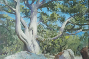 Картина с можжевельником