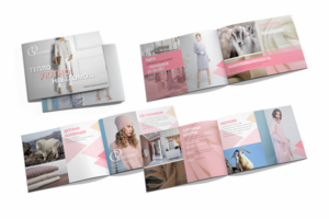 Дизайн презентации для компании GD Cashmere