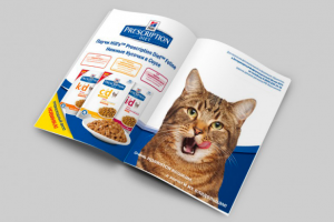 Дизайн макета для журнала