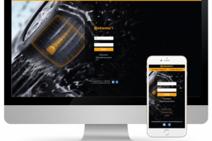 Дизайн страницы мотивационной программы