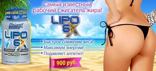 img3254048.png