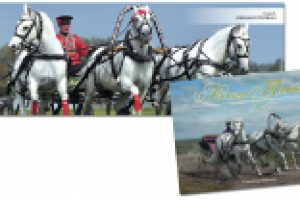 Подарочное издание "Русская Тройка".