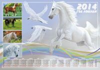 img1624859.png