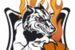 Спортивная эмблема.