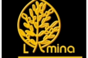 Ювелирная компания Ламина