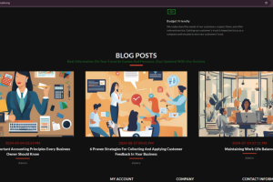 Full Stack веб-разработчик и технический директор в компании Pas