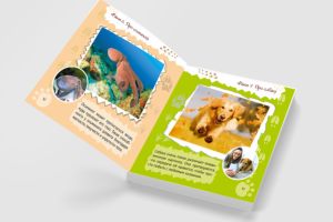 Работа 3831382