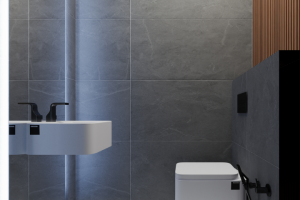 Подмосковье. Дом 300 м2