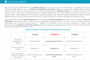 удаленная поддержка