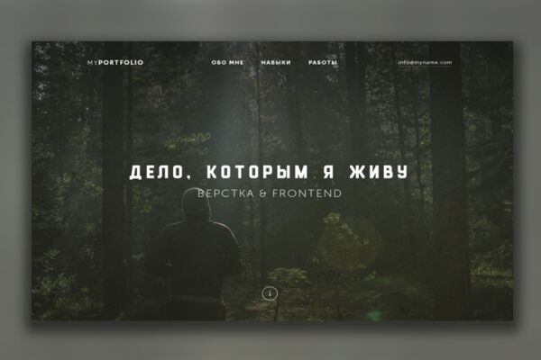 img3903445.png