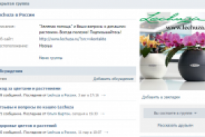 Продвижение бренда Lechuza