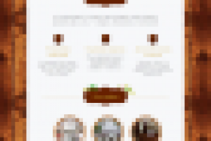 Работа 2982333