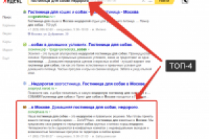 Работа 2536889