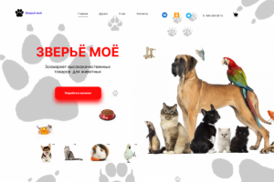 Главный экран