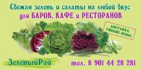 img1315669.png