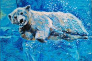 Медведь под водой