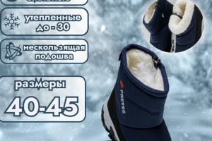 Инфографика