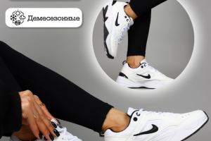 инфографика