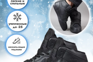 Инфографика