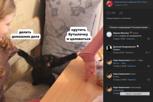 Постинг мемов по игре