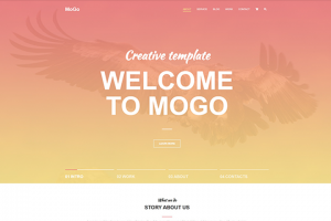 Шаблон дизайнерской студии