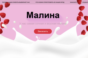Веб-дизайн для магазина малины