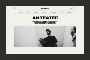 Anteater Clothing - Redesign concept