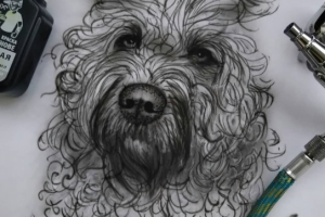 Собачка линии