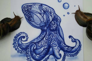 Осьминог линиями фрихэнд