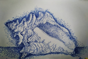 Ракушка точками