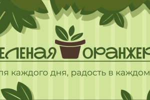 Разработка дизайна для группы в  социальной сети «ВКонтакте»