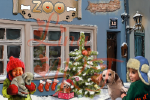 Мечты сбываются!!!