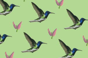 Паттерн Птица