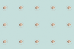 Паттерн Ракушка