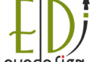 Логотип веб-студии EVEDESIGN