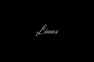 Работа 3858122