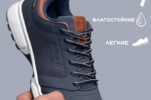 Инфографика