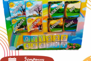 Инфографика