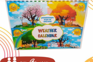 Инфографика