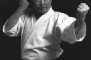 Карате. История и современность