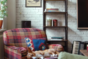 Гостиная - эклектичный интерьер с антикварными предметами