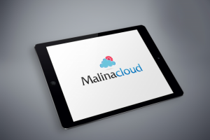 Пример логотипа для "MalinaCloud"